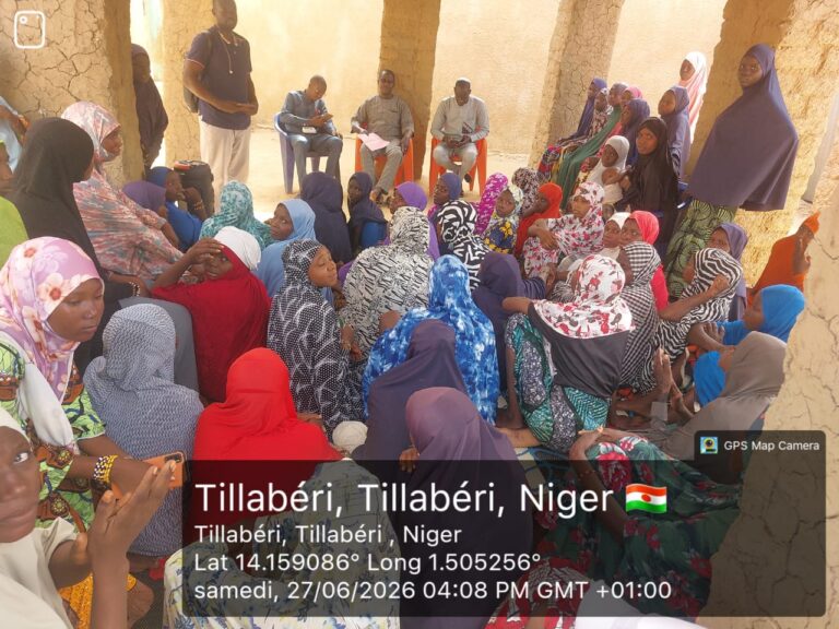 Caravane de sensibilisation pour la paix et la cohésion sociale à Tillabéri